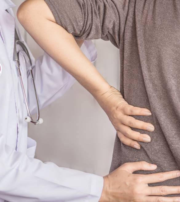 MediMouse - Wirbelsäulenscreening